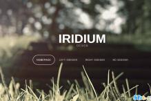 Iridium 一套簡約精美的Html模板